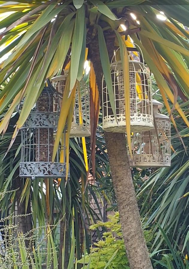 Tropical Garden Oasis Rooms Birmingham Kültér fotó