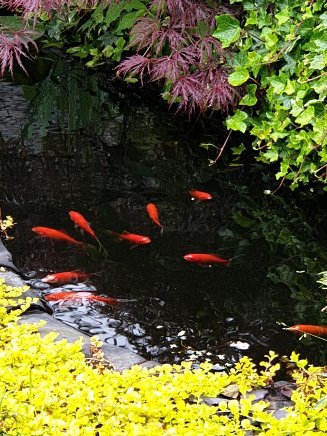 Tropical Garden Oasis Rooms Birmingham Kültér fotó