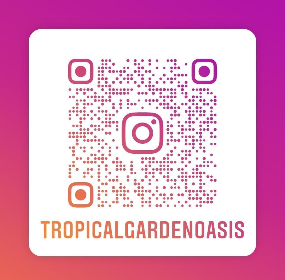 Tropical Garden Oasis Rooms Birmingham Kültér fotó