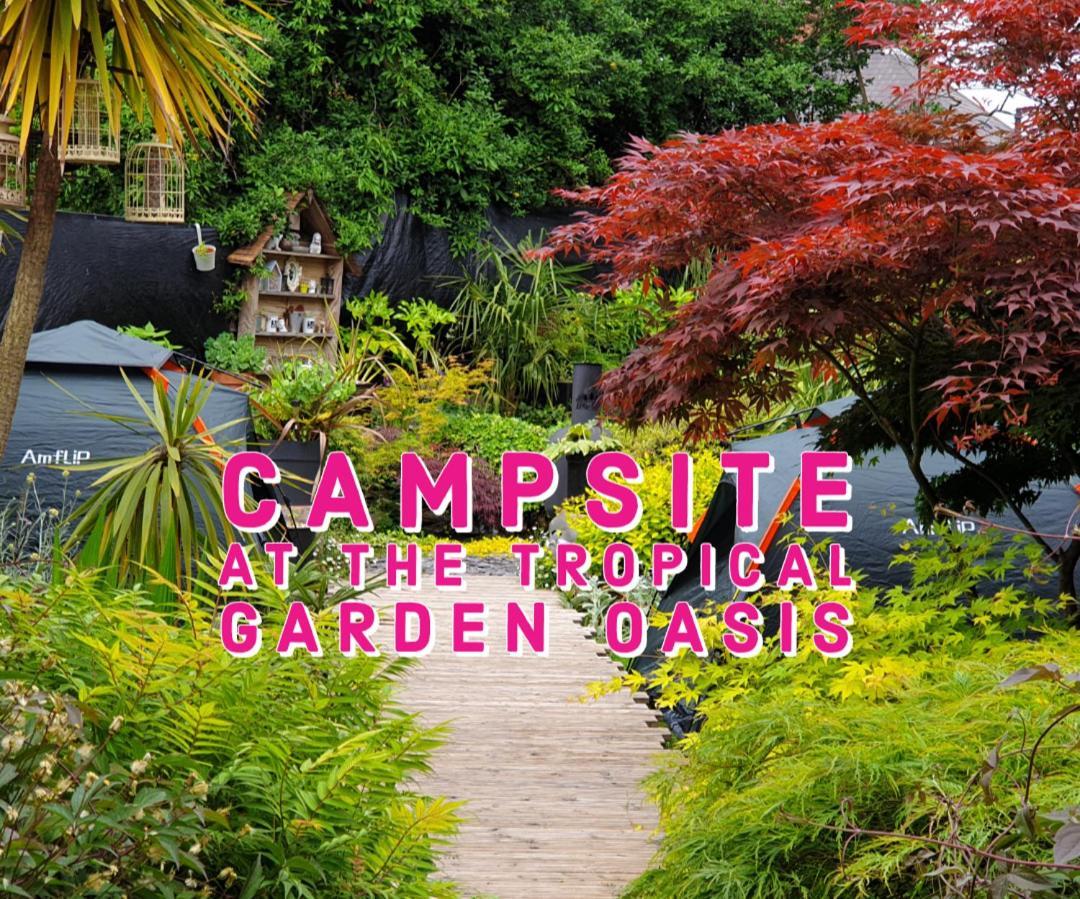 Tropical Garden Oasis Rooms Birmingham Szoba fotó